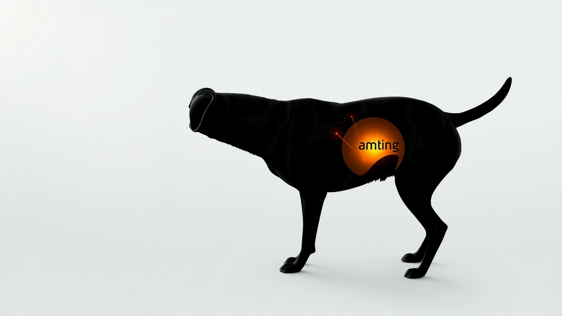 Illustrative photo of a healthy dog silhouette with a subtle highlight around the location of adrenal glands (no text). Bright, soft colors.