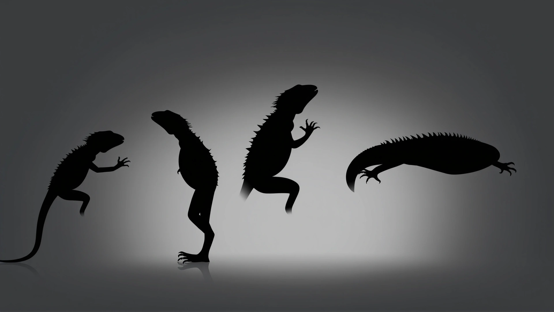 Side-by-side silhouettes of the same lizard in five increasing body conditions from emaciated to obese, neutral background, no text.