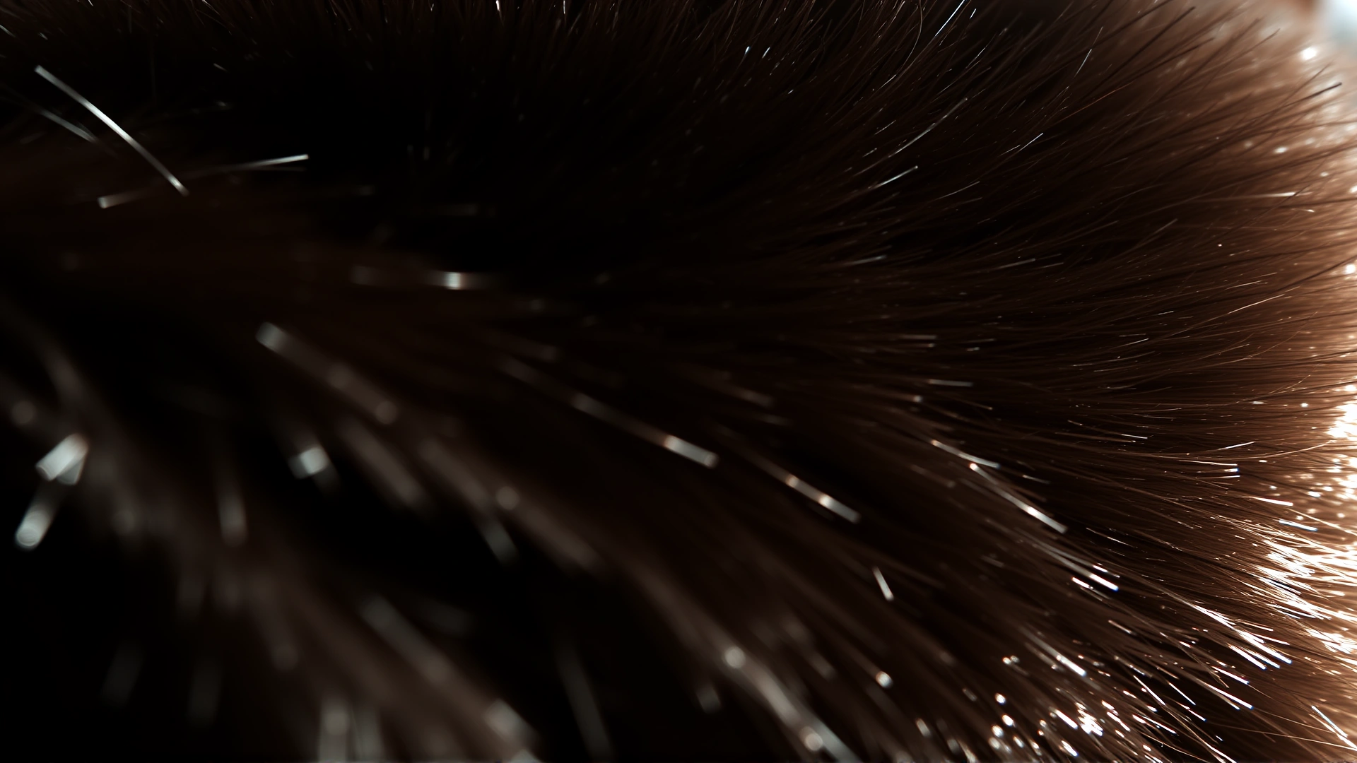 Macro shot of glossy black cat fur reflecting sunlight, showcasing texture and natural shine.