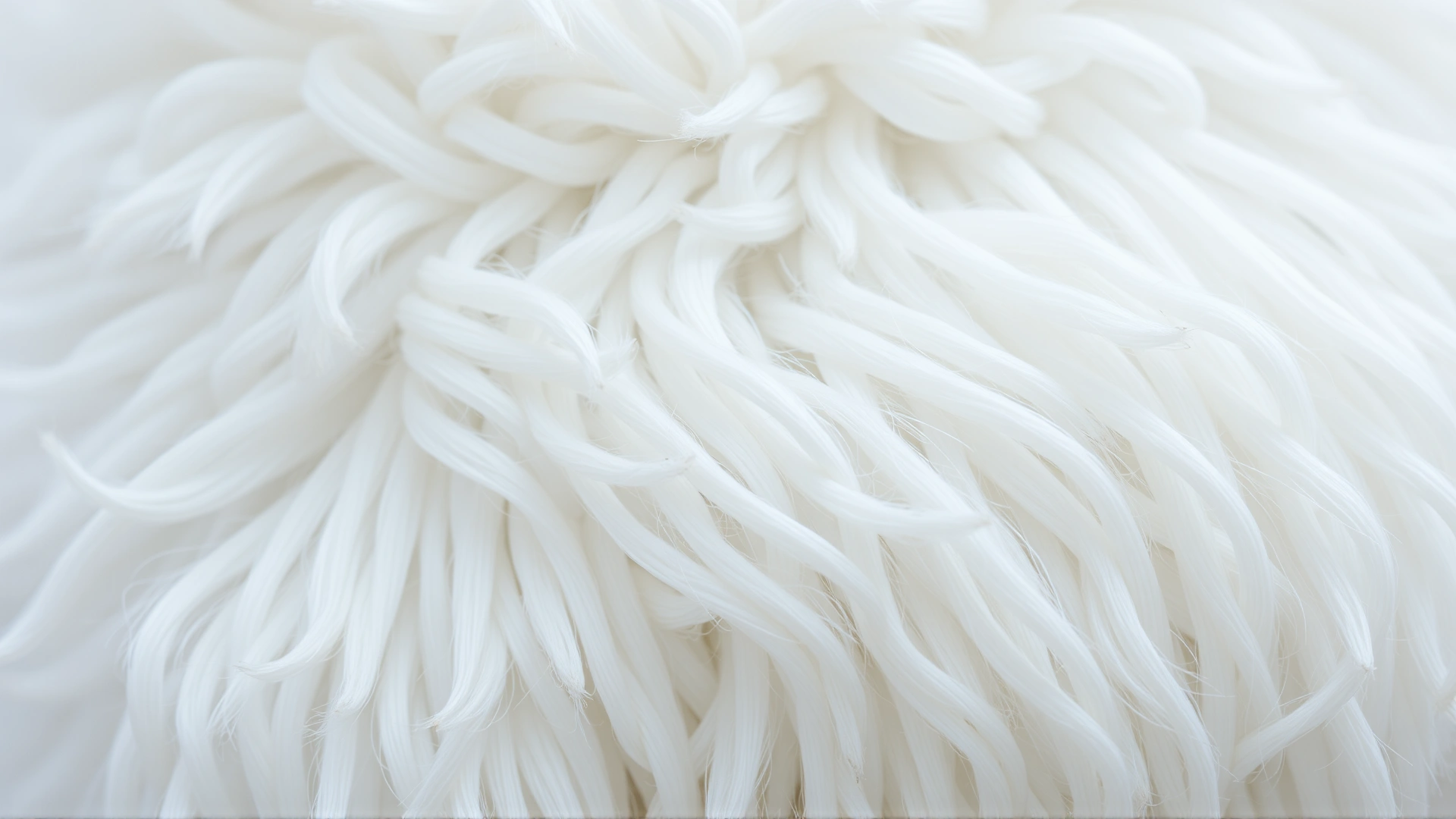 Macro close-up of Komondor corded coat texture, showing individual white cords under soft neutral lighting