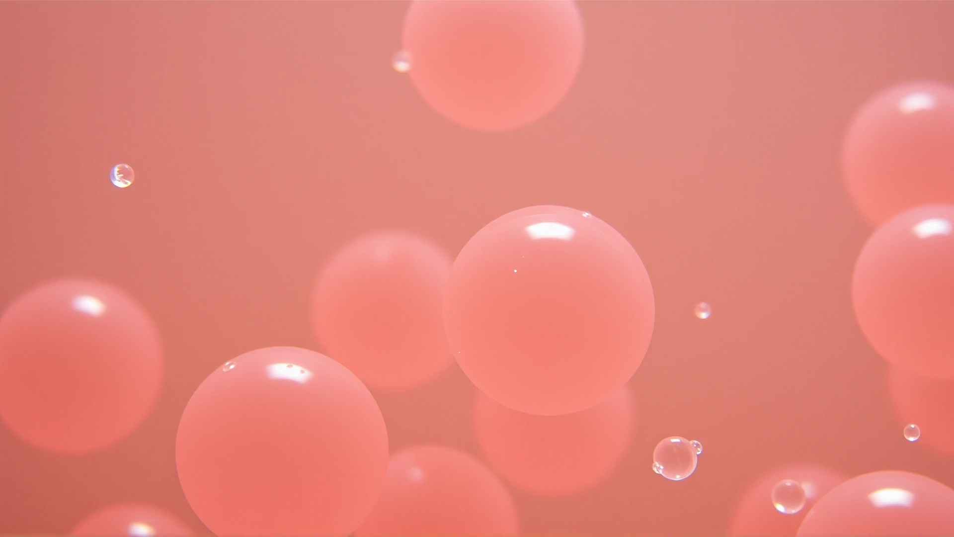 High-magnification microscopic view of tapeworm eggs with clear cellular detail, brightfield microscopy.