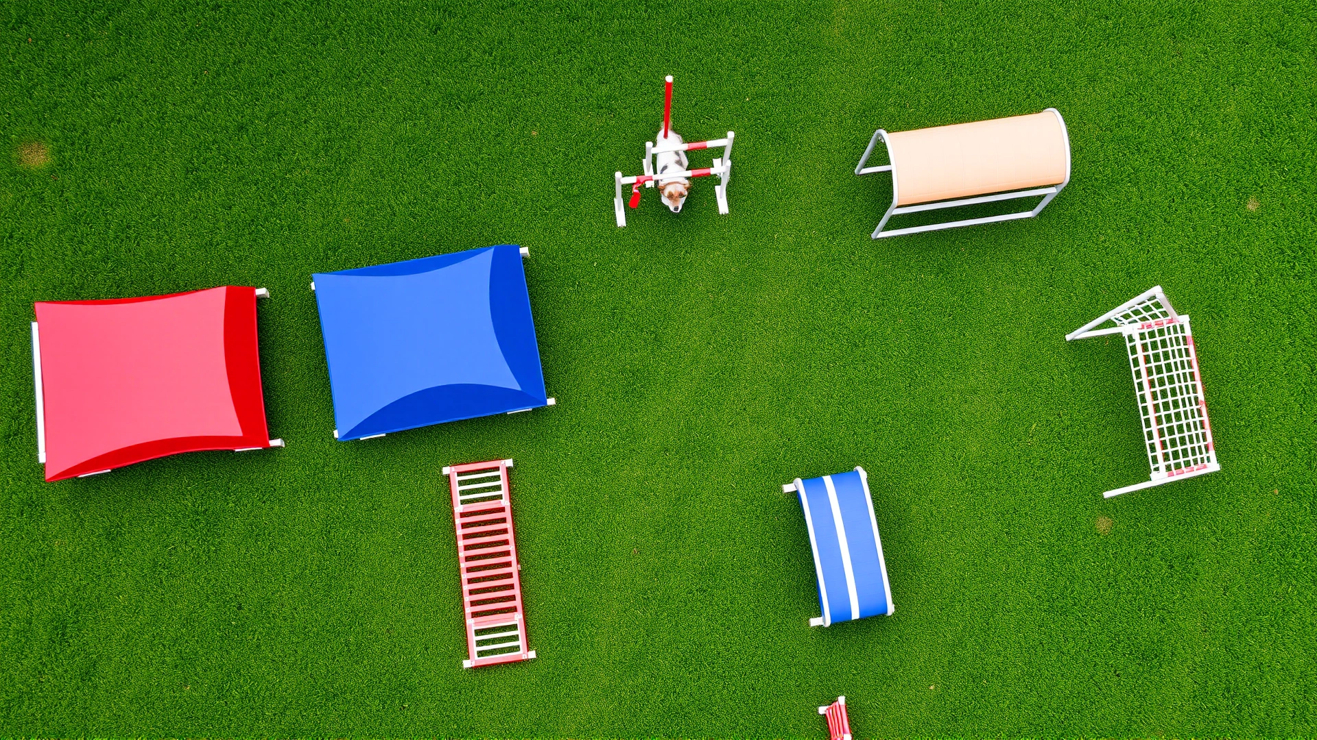 Overhead view of a complete dog agility course set up on lush green grass, showing jumps, tunnels, weave poles, and an A-frame.
