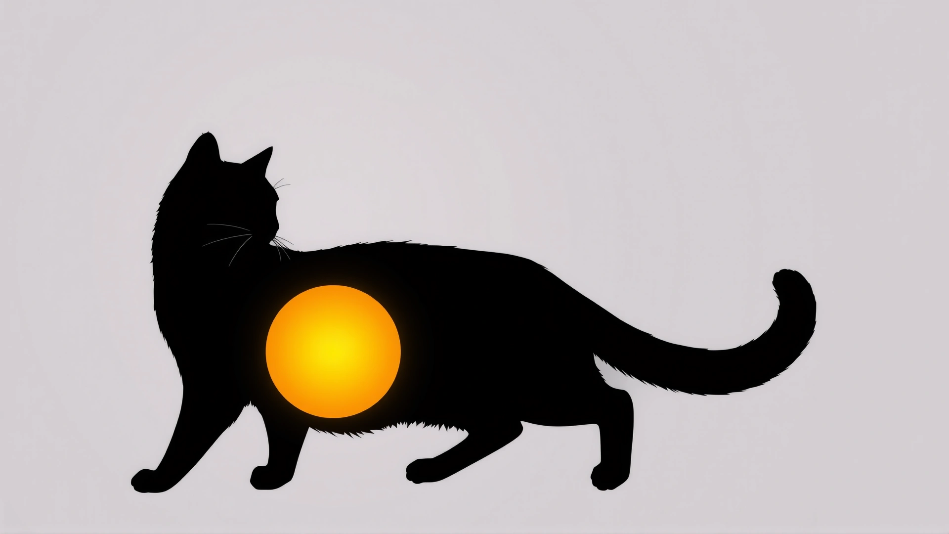 Illustrative photo of a cat silhouette with highlighted testicle area, no text