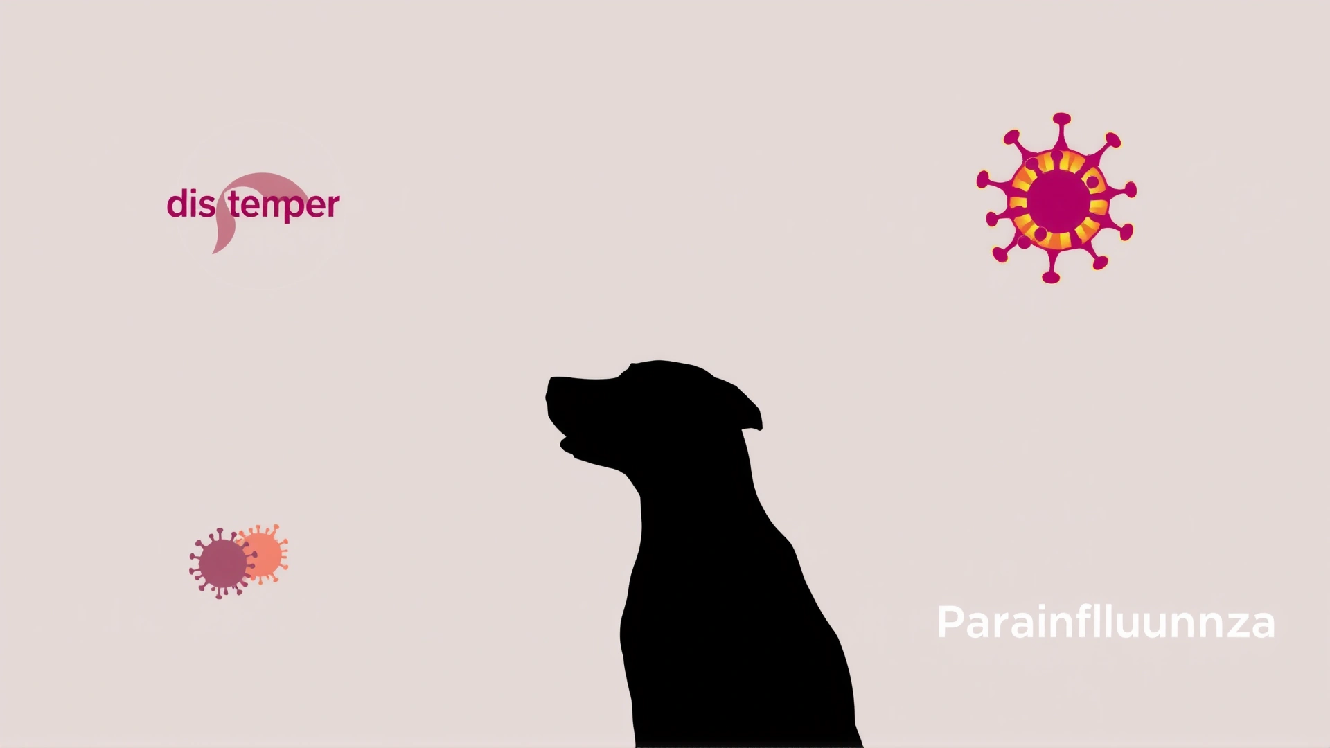 Digital illustration of four dog virus icons (distemper, parvovirus, adenovirus, parainfluenza) surrounding a dog silhouette, no text, vibrant colors